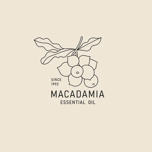 Vektorverpackungselement Und Symbol Linearen Stil Macadamiaöl Gesunde Vegane Lebensmittel Logo — Stockvektor