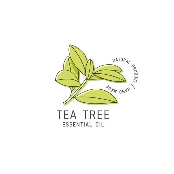 Stock vector Vector packaging design element and icon in linear style - tea tree oil - healthy vegan food. Logo sign