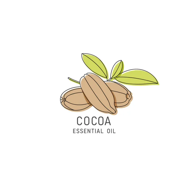 Vector Verpackungsdesign Element Und Symbol Linearen Stil Kakaoöl Gesunde Vegane — Stockvektor