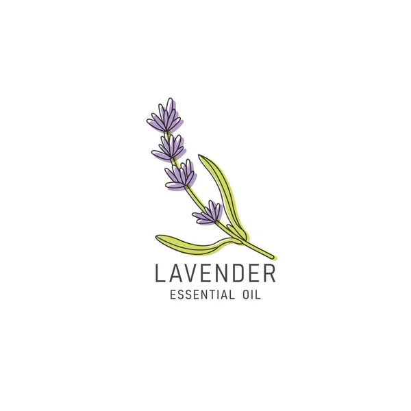 Vector Verpackungsdesign Element Und Symbol Linearen Stil Lavendelöl Gesunde Vegane — Stockvektor
