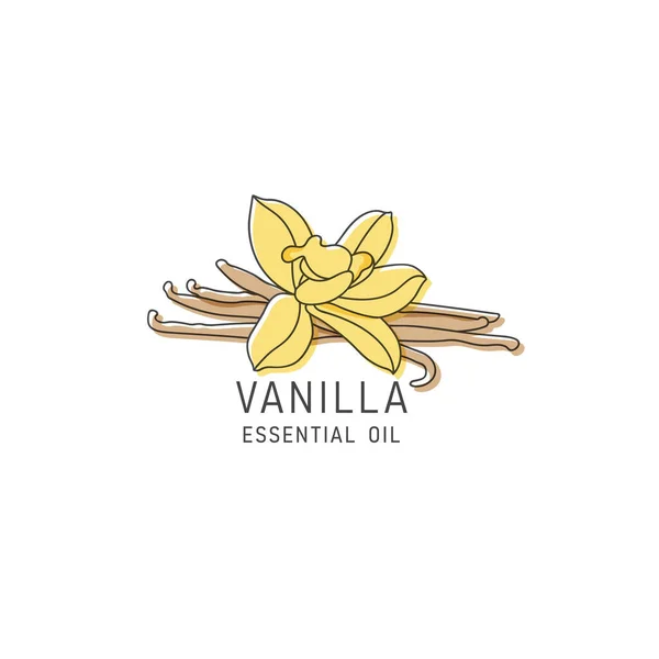 Vector Packaging Design Element Icon Linear Style Vanilla Oil Healthy — Stock Vector