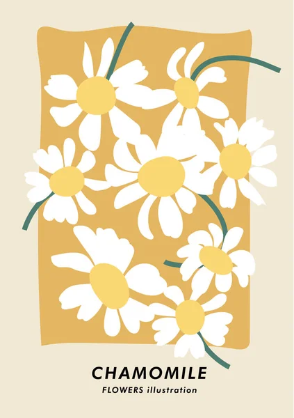 Vector Illustratie Botanische Poster Met Kamille Bloemen Kunst Voor Ansichtkaarten — Stockvector