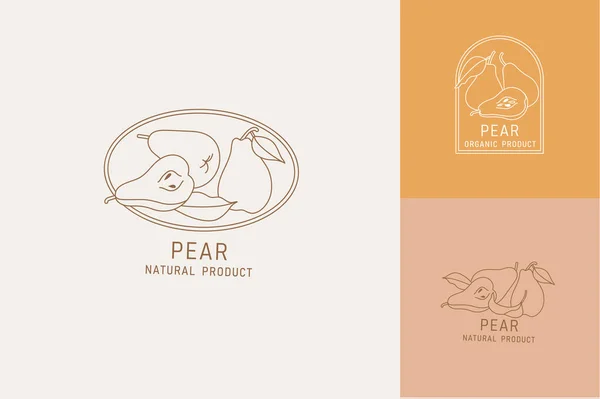 Vector Illustratie Peer Fruit Vintage Minimalistische Stijl Logos Set Compositie — Stockvector