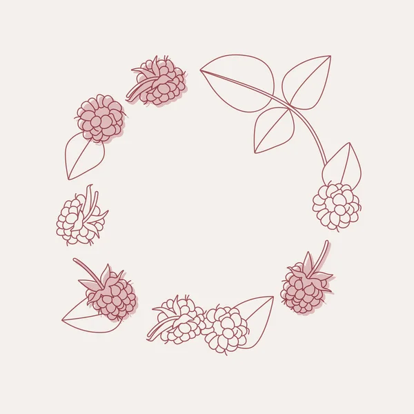 Vector Illustration Circle Composition Raspberries Trendy Background Raspberries — 스톡 벡터