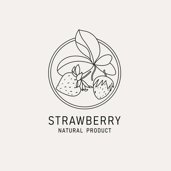 Vector Illustration Erdbeerfrüchte Minimalistischer Vintage Stil Logo Komposition Botanischen Retro — Stockvektor