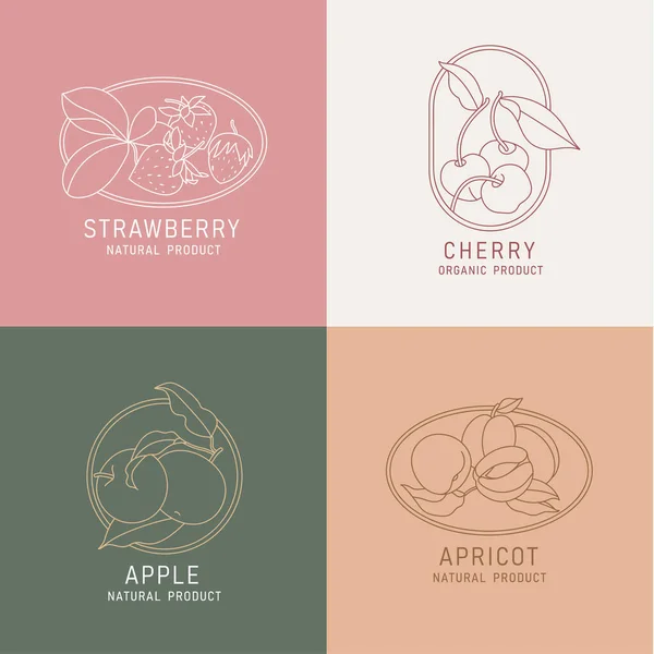 Illustration Vectorielle Fruits Baies Style Vintage Minimaliste Logos Ensemble Composition — Image vectorielle