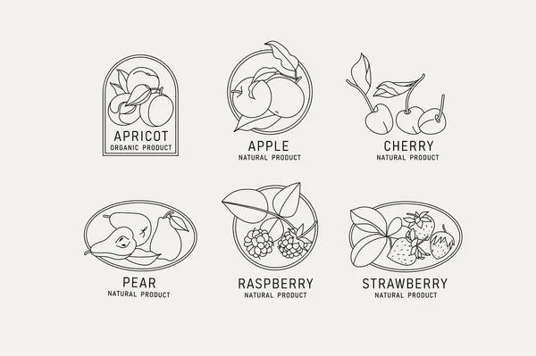Vector Illustration Fruits Berries Vintage Minimalist Style Logos Set Composition — Stock Vector