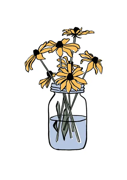 Vektorová Ilustrace Barevný Náčrt Květy Echinacea Váze Umění Pro Potisky — Stockový vektor