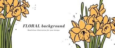 Sarı narsisli çiçek ve tipografi şablonlu vektör arkaplan veya pankart. Web duvar kağıdı. Botanik illüstrasyonlu doğrusal çiçek sanatı