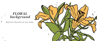 Sarı zambak çiçekleri ve tipografi şablonlu vektör arkaplan veya afiş. Web duvar kağıdı. Botanik illüstrasyonlu doğrusal çiçek sanatı