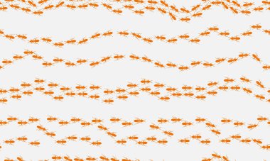 sorunsuz geçmiş ile dekoratif çiçek