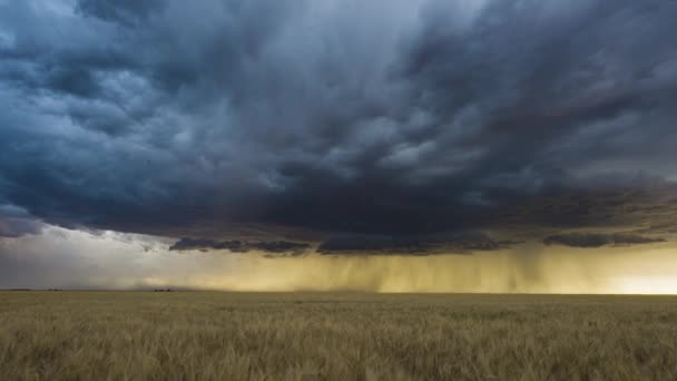 Optagelser Fra Forår Sommer Storm Jagter Sæson Great Plains America – Stock-video