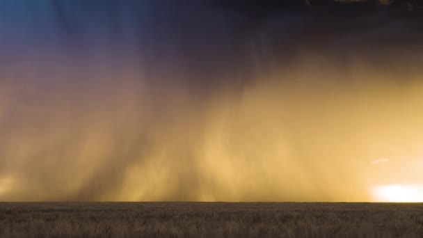美国大草原上春季 夏季风暴追逐季节的镜头 龙卷风 巨大的冰雹 壮观的落日 古老的农舍和农业建筑 美丽的天空镜头 对比和色彩创造迷人的视觉效果 — 图库视频影像