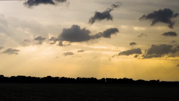 Footage Spring Summer Storm Chasing Season Great Plains America Tornadoes — Stock Video