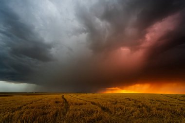 Fırtınanın yaklaşması, günbatımında gökyüzünü renklendirir. Kontrastla dolu dramatik bir sahne yaratır. Gölge, doku ve karamsar atmosfer.
