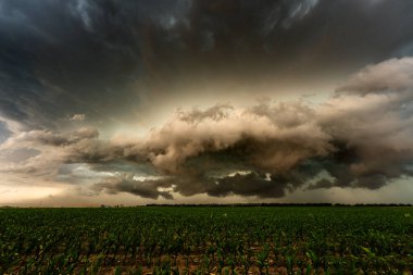 Korkunç, güçlü kara bulutların yaklaştığı fırtınalı bir sahne. Gölge, doku ve karamsar atmosferle dolu dramatik bir gökyüzü yaratıyor. Destansı gücü ve güzelliği gözler önüne seriyor.