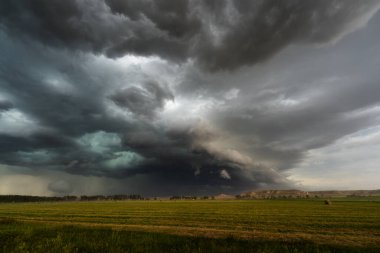 Karanlık gök gürültüsü ufku ıssız bir açık alanda yutar. Gölge, doku ve karamsar atmosferle dolu dramatik bir gökyüzü yaratır. Doğanın destansı gücünü yakalar ve yıpratır.