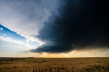 Epik süperhücre fırtınası günbatımında gökyüzünü karartır, doğadaki güzelliği tehlikeyle harmanlayarak, dramatik bulutlar, karamsar atmosfer, gölge ve dokuyu güçlü, hareketli bir hava manzarasında harmanlayarak