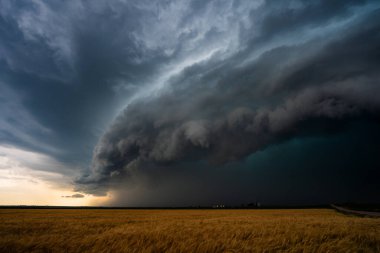 Rüzgârlı bir çayırın üzerinde devasa gök gürültüsü kulesi. Karanlık, dramatik gökyüzü dokularla, fırtınalı gölgelerle ve doğadaki destansı güzelliklerle dolu. Havanın ve atmosferin gücünü yakalıyor.