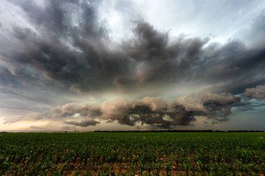 Uğursuz fırtınalı gökyüzü, yaklaşan korkutucu, güçlü, karanlık bulutlarla, dramatik dokularla, gölgelerle ve karamsar atmosferle, doğanın gözeneklerinin yoğun güzelliğini ve tehlikesini yakalıyor.