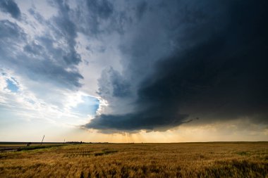 Güçlü süper hücre fırtınası, hareketli bulutlar, gölgeler ve dokularla dolu dramatik bir gökyüzü altında açık düzlüklerde dönüyor. Kaygı verici, destansı bir atmosfer yaratıyor ve olağanüstü hava koşullarını gözler önüne seriyor.