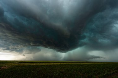 Şiddetli kara fırtına bulutları gökyüzünü doldururken hareketli dokusu, gölgesi ve doğal havanın saf güzelliği ve tehlikesi ile dramatik ve kasvetli bir atmosfer yaratıyor.