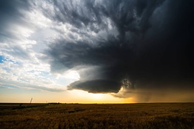 Güneş ışınları, karanlık fırtına bulutlarının arasından fışkırarak karşıtlık, doku, gölge ve karamsar atmosferlerle dolu dramatik bir gökyüzü yaratarak doğadaki güzelliği destansı yorgunlukla harmanlıyor.