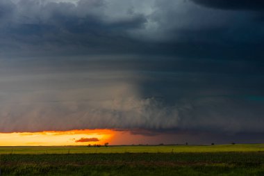 Muhteşem şiddetli fırtına, renkli bir günbatımının altında hızla yaklaşıyor. Gökyüzünü dramatik bir kontrastla, gölge, doku ve karamsar atmosferle dolduruyor. Tehlike ve güzelliği doğanın yorgunluğuyla harmanlıyor.