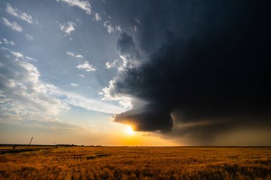 Muhteşem fırtına bulutları gün batımında gökyüzünü yanan renklerle, dramatik dokularla ve karamsar atmosferle doldurarak sürükleniyor. Doğadaki güzelliği havanın gücü ve ışıkla harmanlıyor.