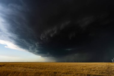 Fırtına bulutları sıcak renkli tarlaların ve rüzgâr tarlalarının üzerinde süzülüyor. Doku, hareket, atmosfer ve doğanın güzelliği ile dolu dramatik ve kasvetli bir sahne yaratıyor.