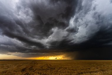 Sıcak gün batımı ışığı, karanlık fırtına bulutlarının altında parlar. Tarlaların üzerinde hareket eder. Kontrastla, gölgelerle, dokularla ve karamsar atmosferle dolu dramatik bir gökyüzü yaratır.