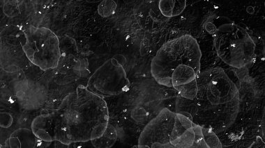Dark Monochrome Soyut Sanat Arkaplan Deseni Design Design Space Galaxy Bubbles - arka plan - 4K yüksek kaliteli