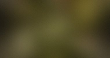 Soyut Olive Green Gradyan Doku Tasarımı İnce Ton Çeşitlemeleri Bulanık Odaklı Yumuşak Odaklı Yumuşak Yüzey Dijital Sanat Grafiksel Tasarım Elemanı