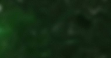 Koyu yeşil Soyut Arkaplan Doku Görüntüsü Orman Tasarımı Derin Gizemli Karamsar Bulanık Odaklanma