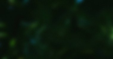 Koyu yeşil Soyut Arkaplan Bokeh Işıkları Bulanık Doku Gecesi Sahne Derin Orman Gizemli Atmosfer İnce Tonlar Düşük Işık Görüntü Dijital Sanat