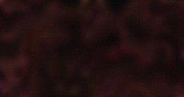 Koyu kestane rengi soyut arkaplan deseni desen bulanık resim odaklı grafiksel gölge