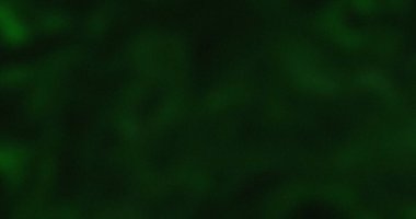 Koyu Yeşil Soyut Arkaplan Doku Tasarımı Resim Zümrüt Orman Gece Gölgesi