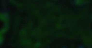 Koyu Yeşil Soyut Arkaplan Doku Tasarımı Sanat Şablonu Görüntü Gölgesi Bulanık Dijital Boyama Grafik Rengi Doğa Ormanı