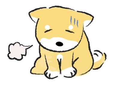 Shiba Inu oturuyor ve depresyonda.