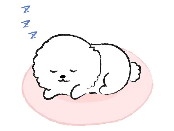 Illustration Dog Sleeping Bed Bichon Frize — Stock Vector