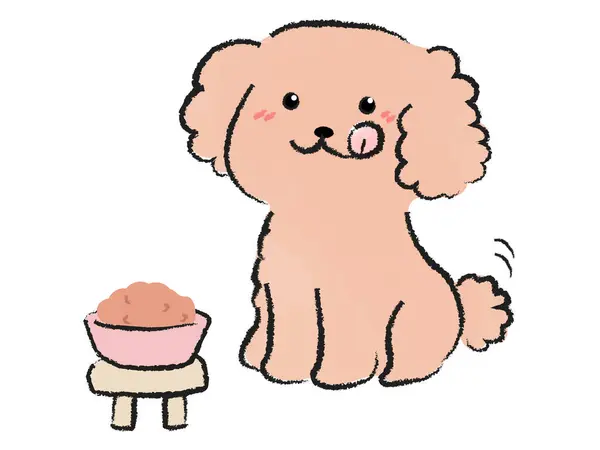 Toy Poodle Eating Dog Food — Stock Vector