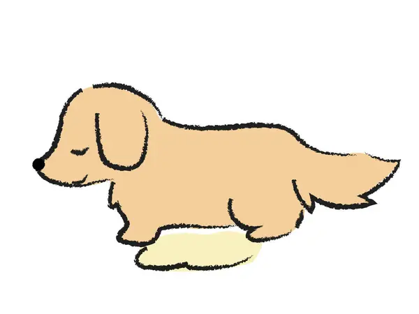 Illustration Dog Urinating Dachshund — Stock Vector