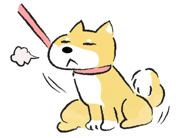 Shiba Inu Dog Who Refuses Taken Walk Does Move — Stock Vector