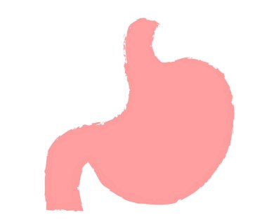 Basit mide illüstrasyonu el çizimi tarzı