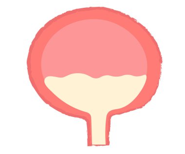 Basit mesane çizimi el yazısı biçimi