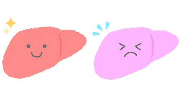 Sağlıklı karaciğer ve sağlıksız karaciğer el yazısı karakterler