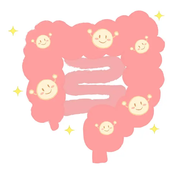 Sağlıklı bir bağırsak, iyi bir bakteri, el yazısı tarzı.