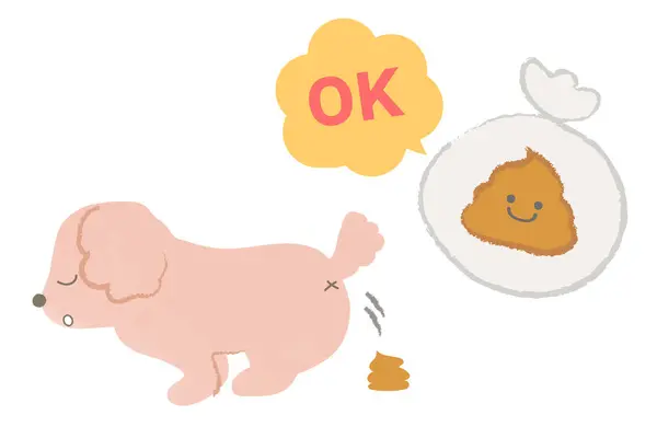 Köpeği gezdirme, kaka adabı, köpek kakası.