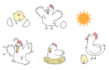 Civciv ve tavuk ebeveyni ve çocuk yumurtası basit bir çizim.