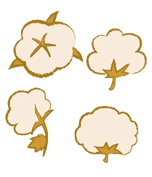 Pamuk çiçeklerinin el çizimi